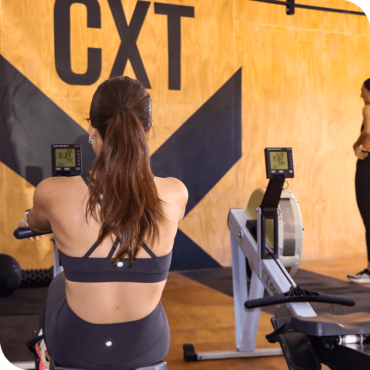 vicelaExperiencia-min